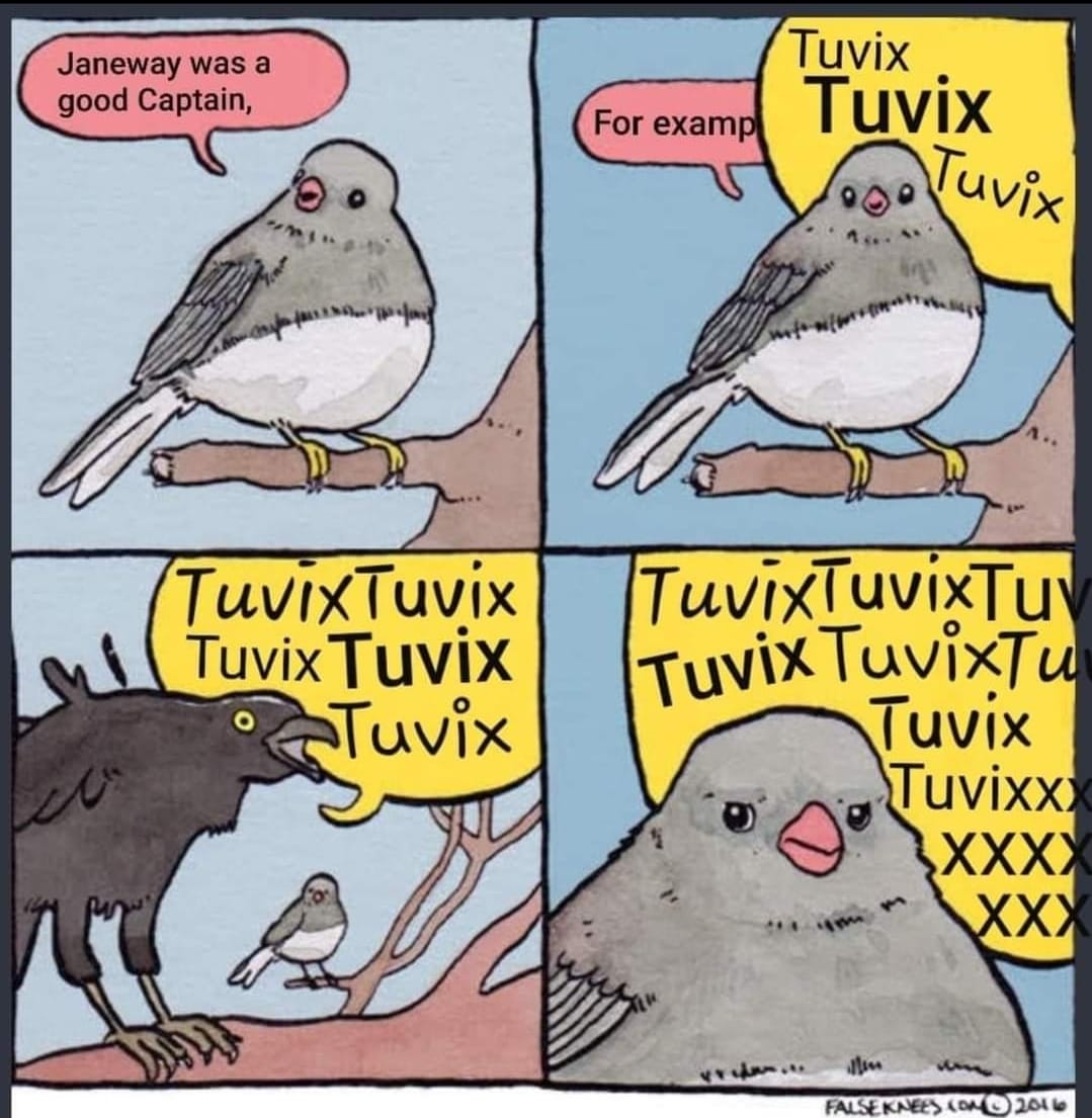 The meme is a humorous image of a cartoon bird with a speech bubble saying "Tuvix" (a reference to a Star Trek character) in response to a question about the bird's name. The text is accompanied by a caption that says "I'm a bird, get it? Tuvix?". The joke relies on a play on words, using the bird's name to make a pun on the Star Trek character's name.